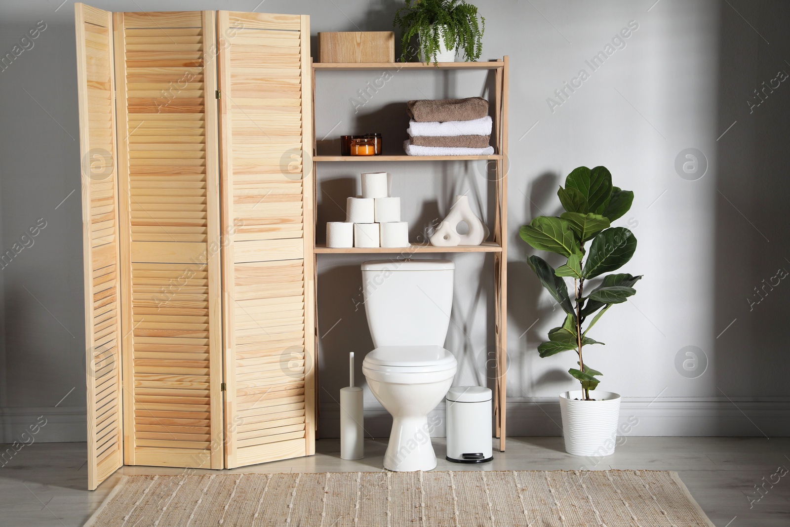 Photo of Folding screen, toilet bowl and houseplants in restroom