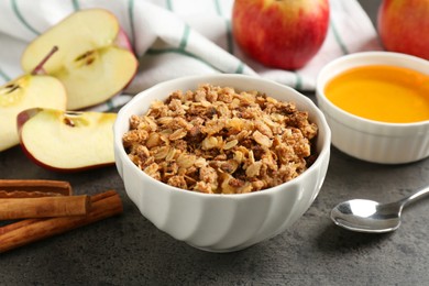 Photo of Delicious apple crisp in bowl, fresh fruits, cinnamon sticks and honey on grey table, closeup