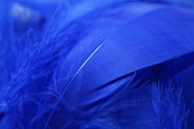 Photo of Beautiful blue feathers as background, closeup view