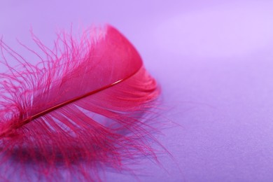 Photo of Fluffy pink feather on purple background, closeup. Space for text