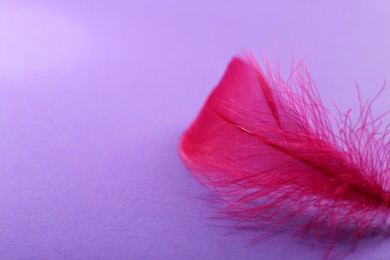 Fluffy pink feather on purple background, closeup. Space for text