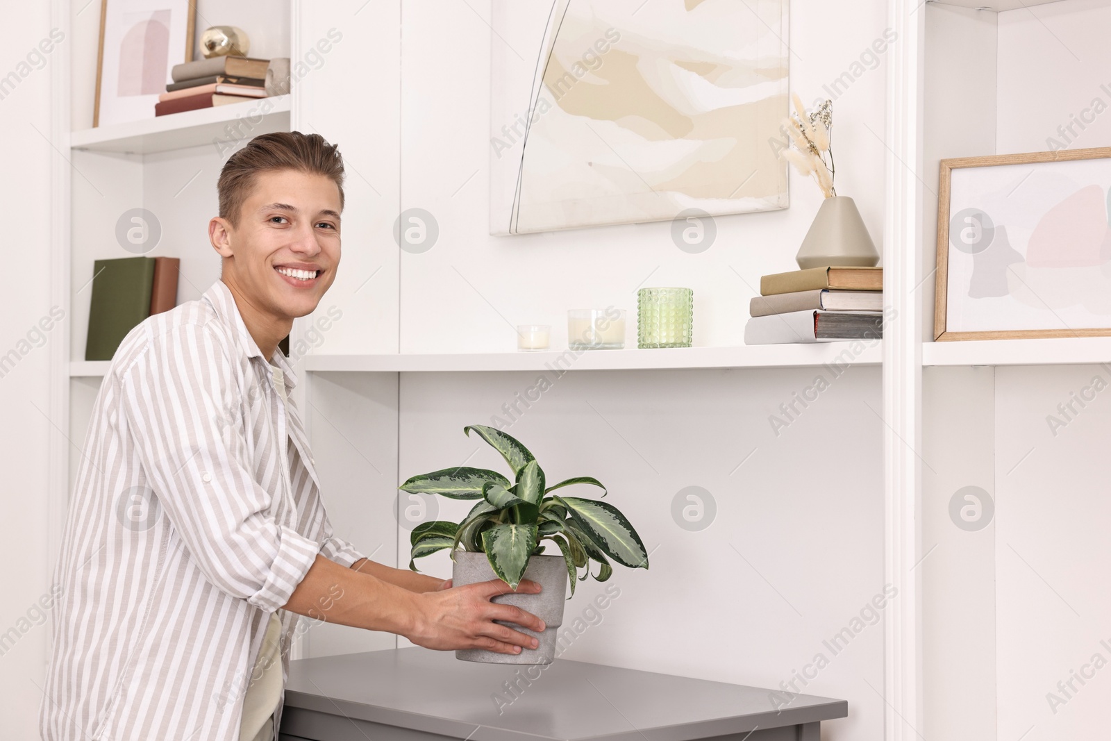 Photo of Smiling decorator arranging houseplant onto cabinet indoors