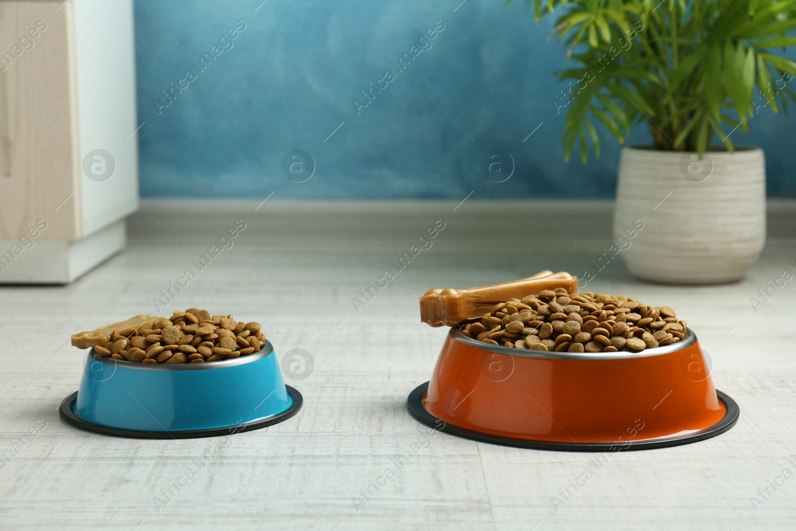 Photo of Dry pet food in feeding bowls and chew bones on floor indoors