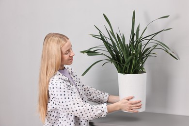 Photo of Smiling decorator arranging houseplant onto cabinet indoors