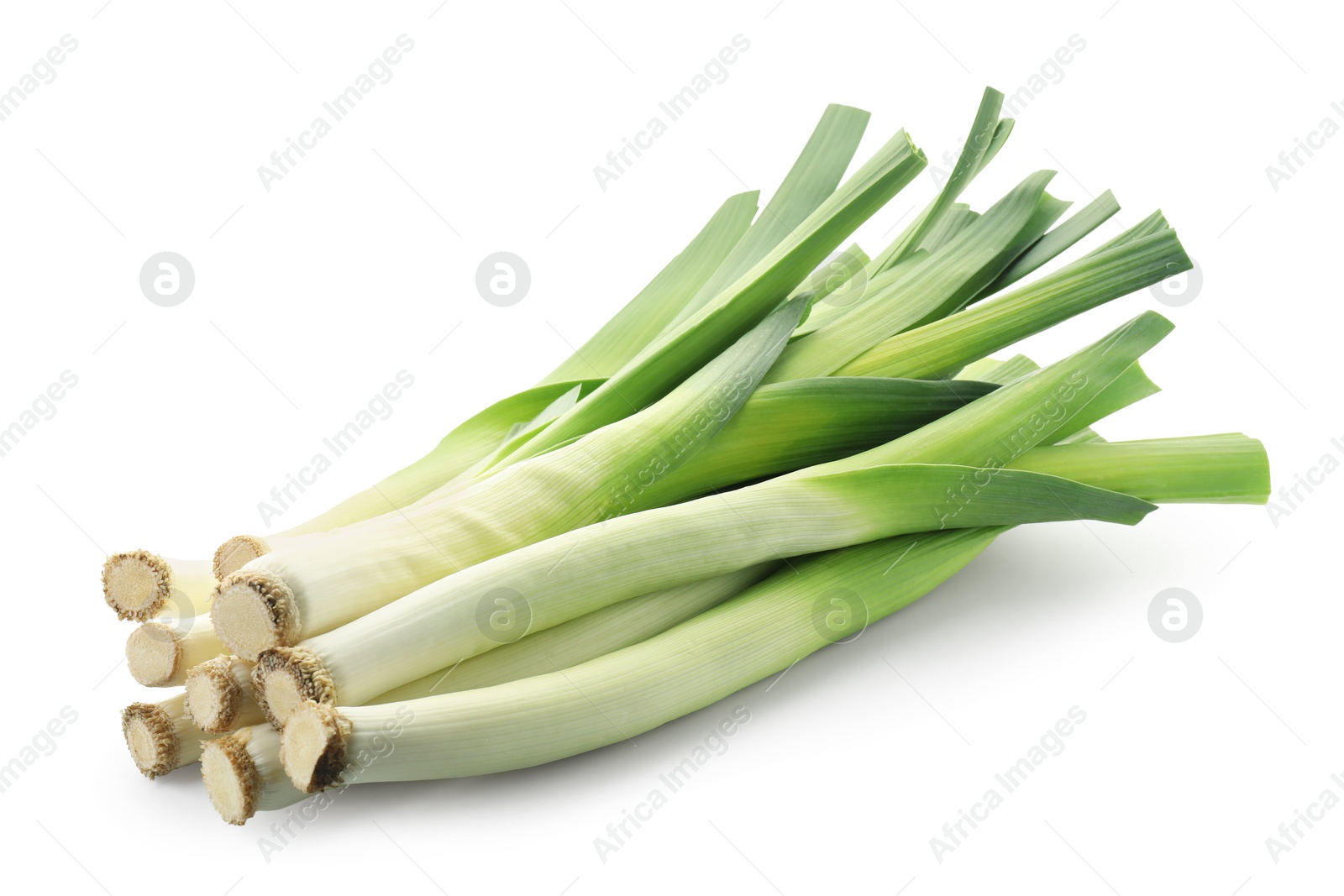 Photo of Fresh leeks isolated on white. Spicy vegetable