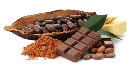 Cocoa pod with beans, powder, chocolate, butter and leaves isolated on white