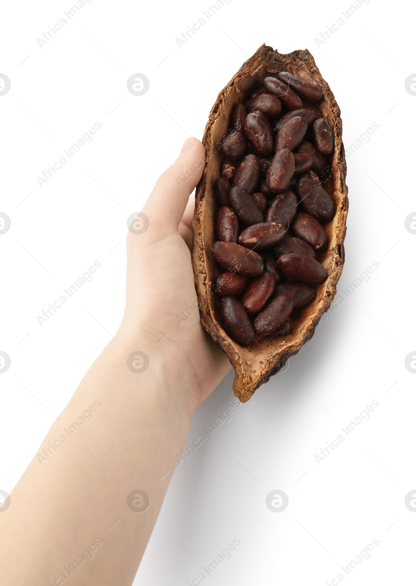 Photo of Woman holding cocoa pod with beans on white background, closeup