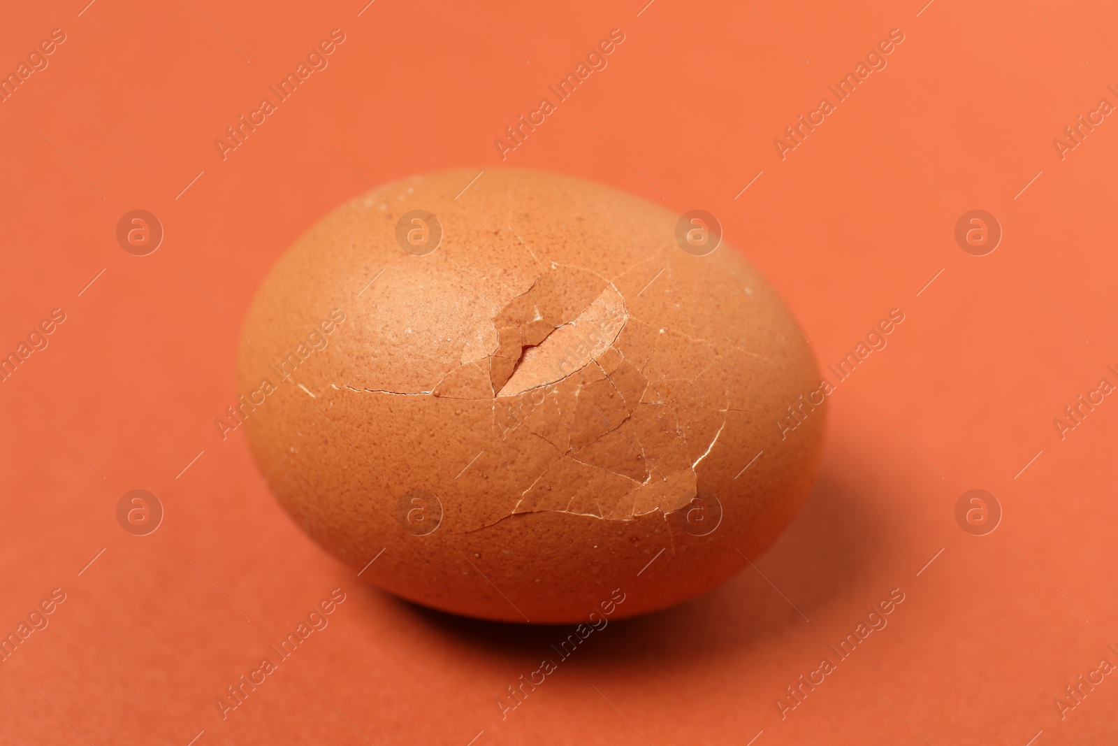 Photo of One egg with cracked shell on coral background, closeup