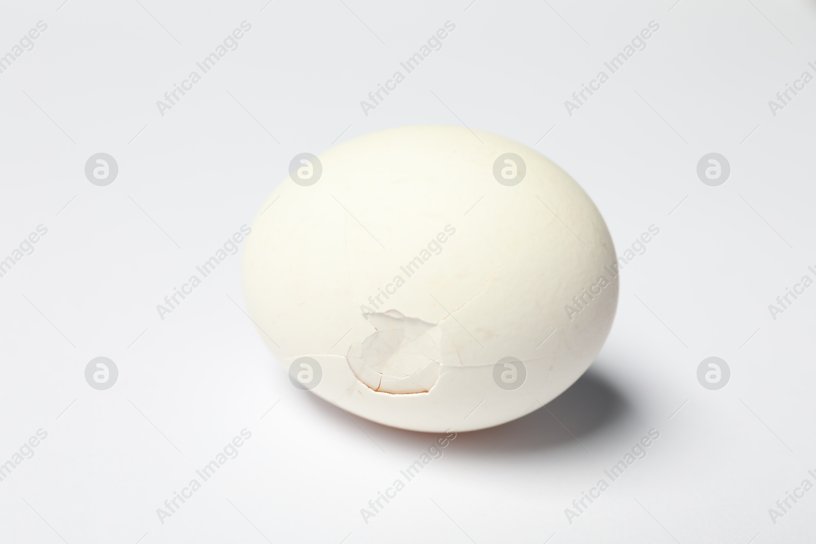 Photo of One egg with cracked shell on white background, closeup