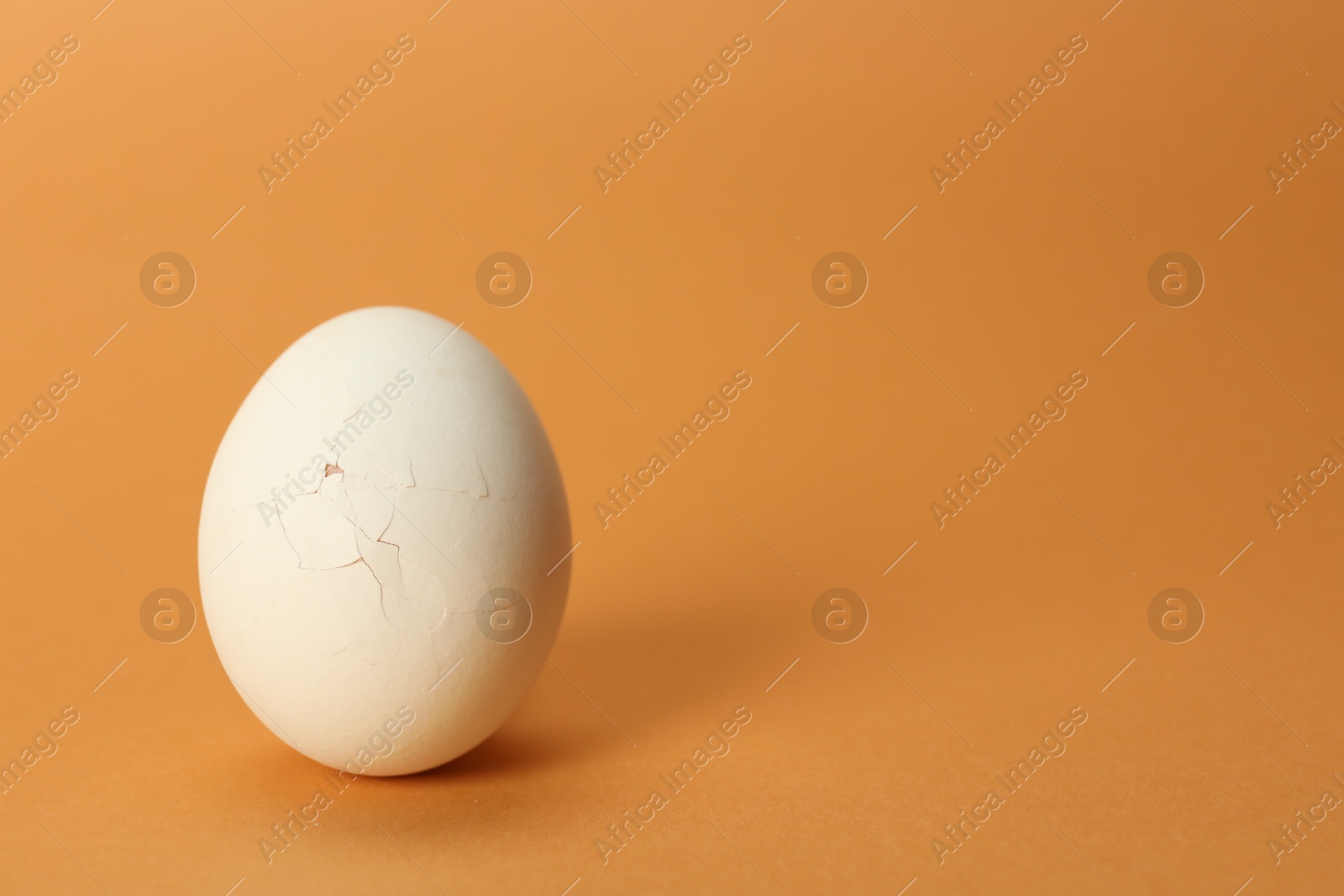 Photo of One egg with cracked shell on coral background, closeup. Space for text