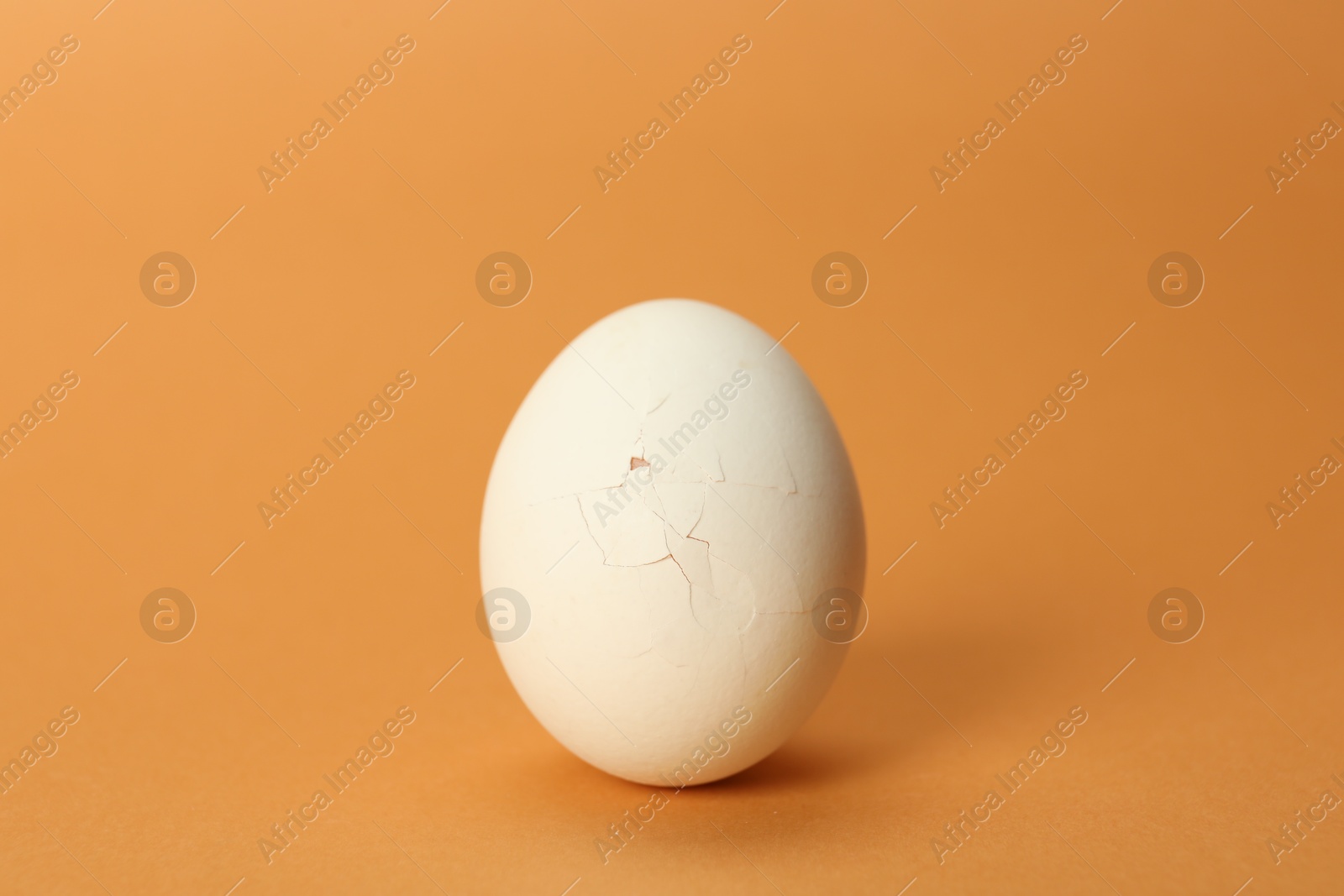 Photo of One egg with cracked shell on coral background, closeup