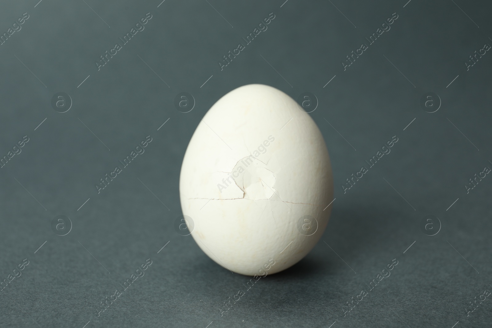 Photo of One egg with cracked shell on grey background, closeup