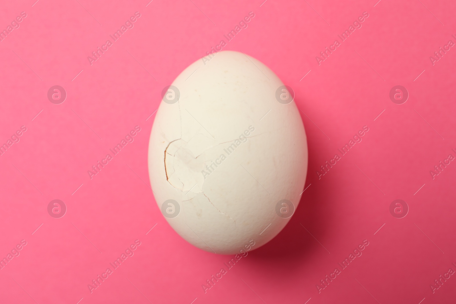 Photo of One egg with cracked shell on pink background, top view