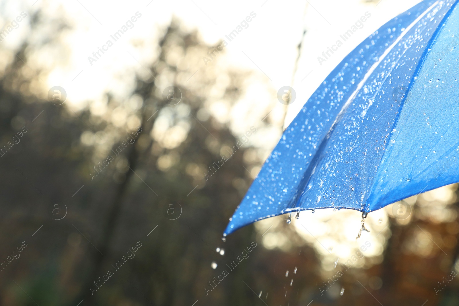 Photo of Open blue umbrella under pouring rain outdoors, closeup. Space for text