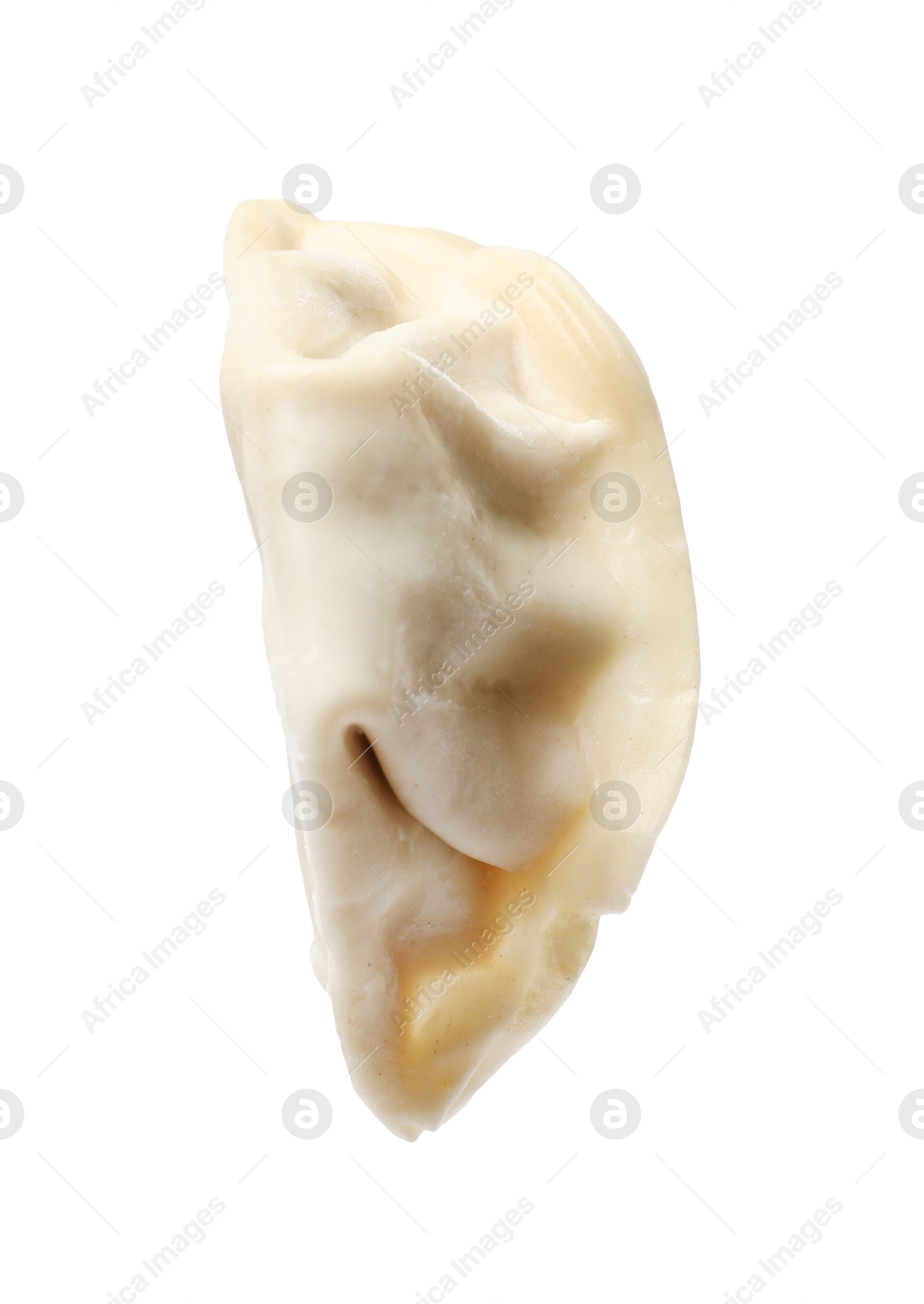 Photo of One fresh gyoza dumpling isolated on white