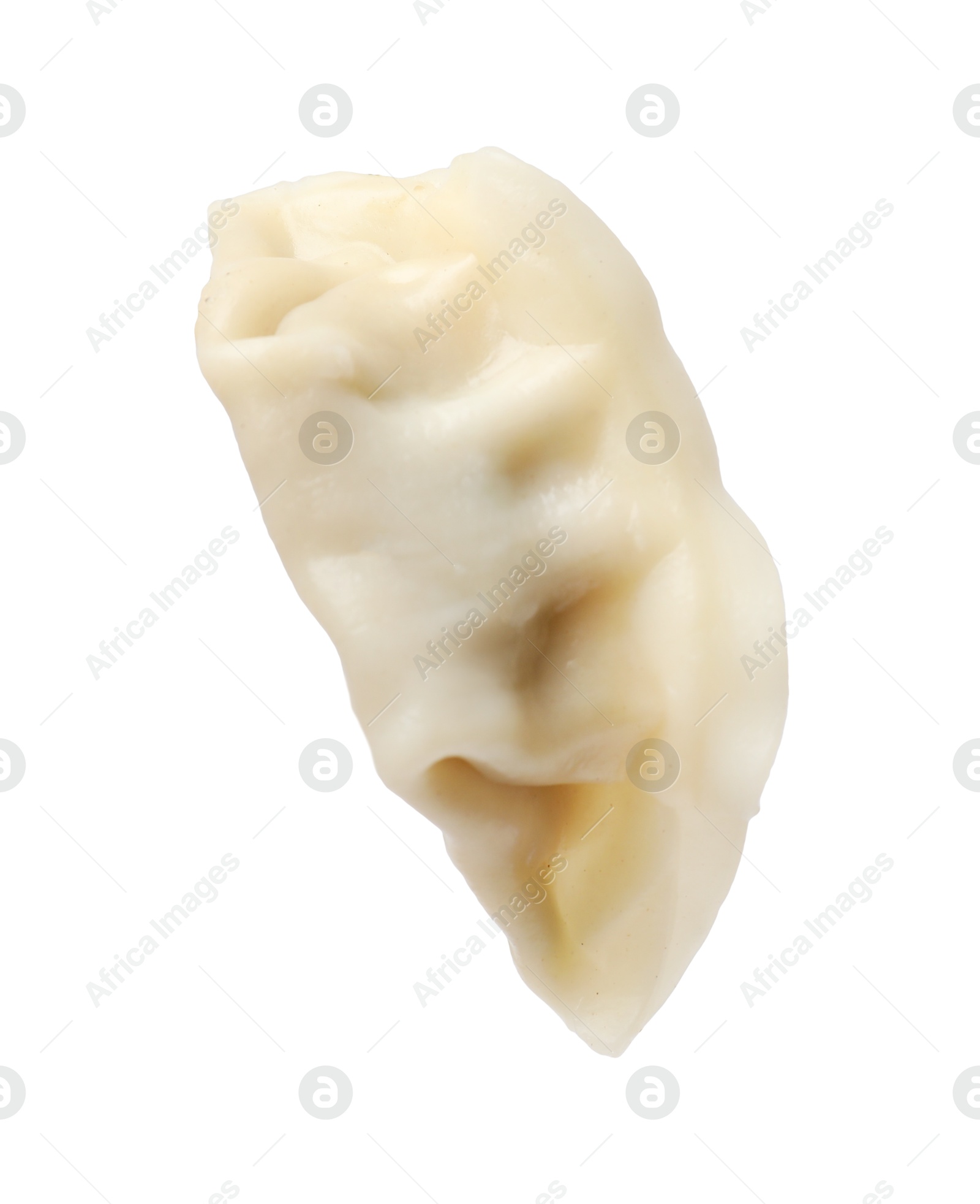 Photo of One fresh gyoza dumpling isolated on white