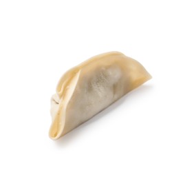 Photo of One fresh gyoza dumpling isolated on white