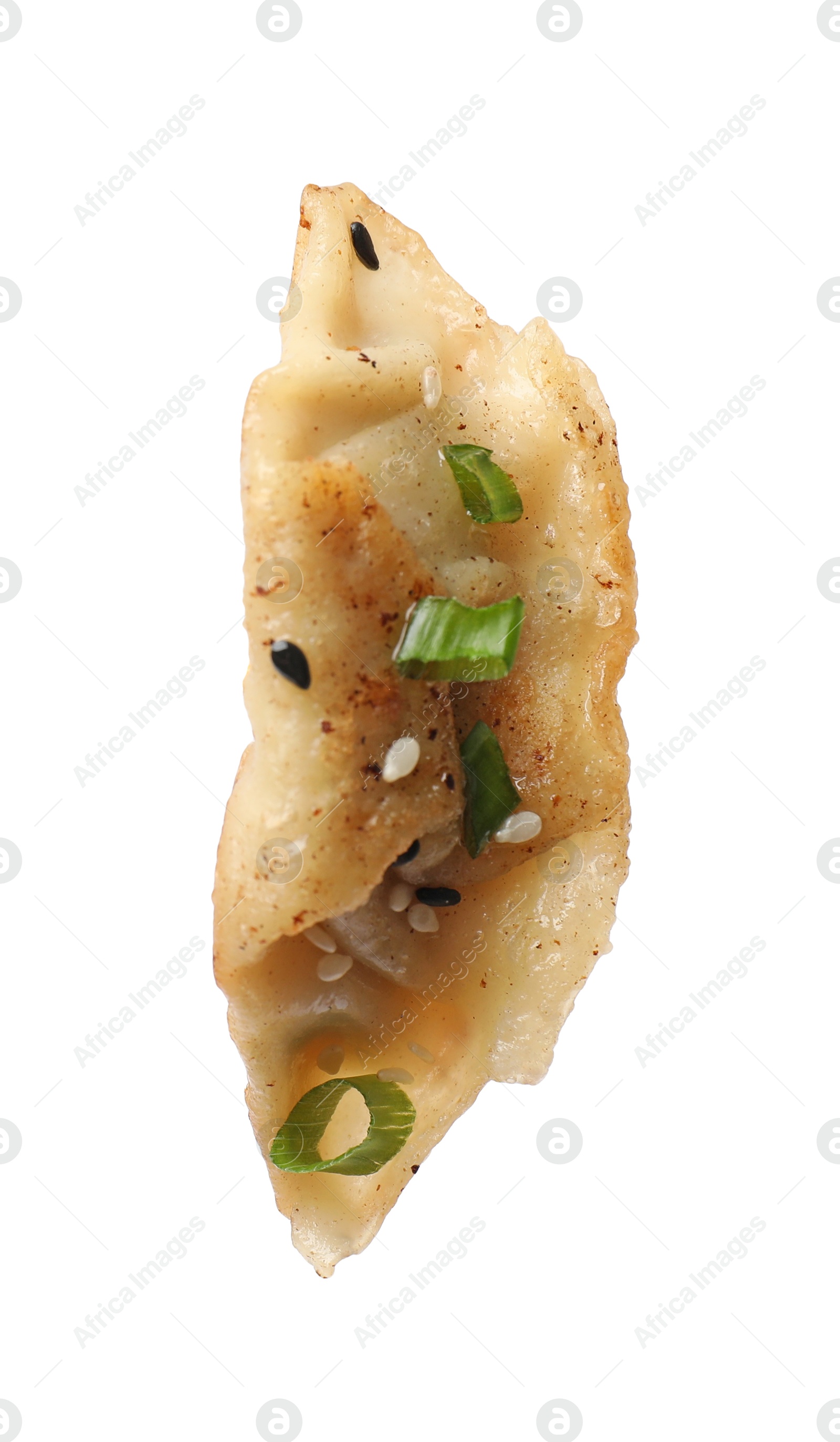 Photo of One fried gyoza dumpling with green onion isolated on white