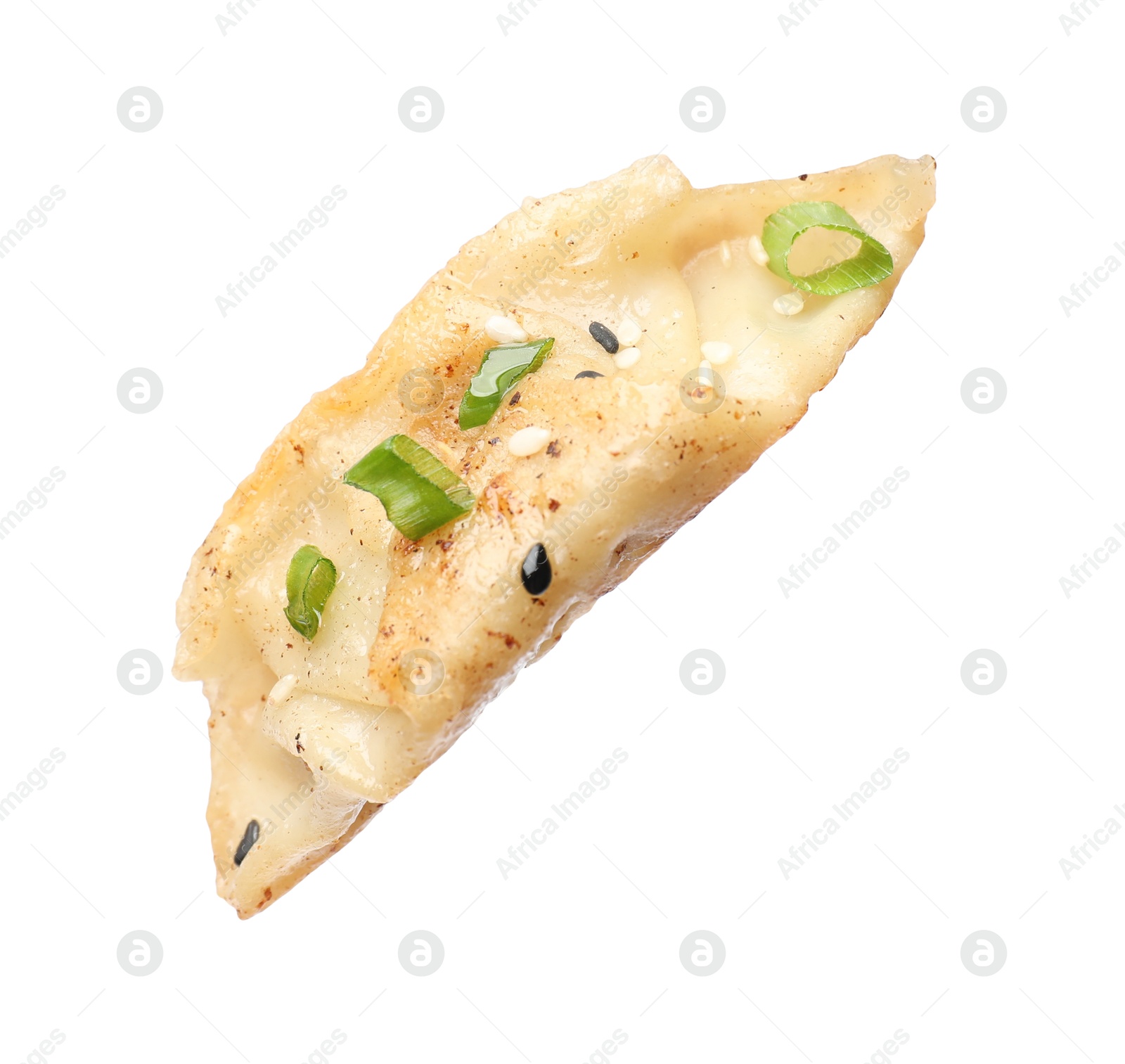 Photo of One fried gyoza dumpling with green onion isolated on white