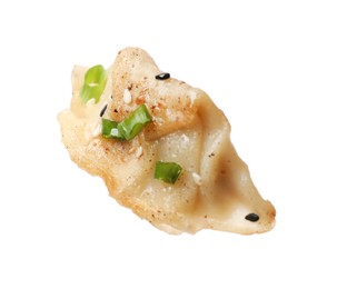 Photo of One fried gyoza dumpling with green onion isolated on white