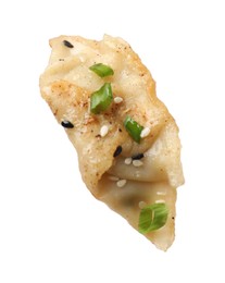 Photo of One fried gyoza dumpling with green onion isolated on white