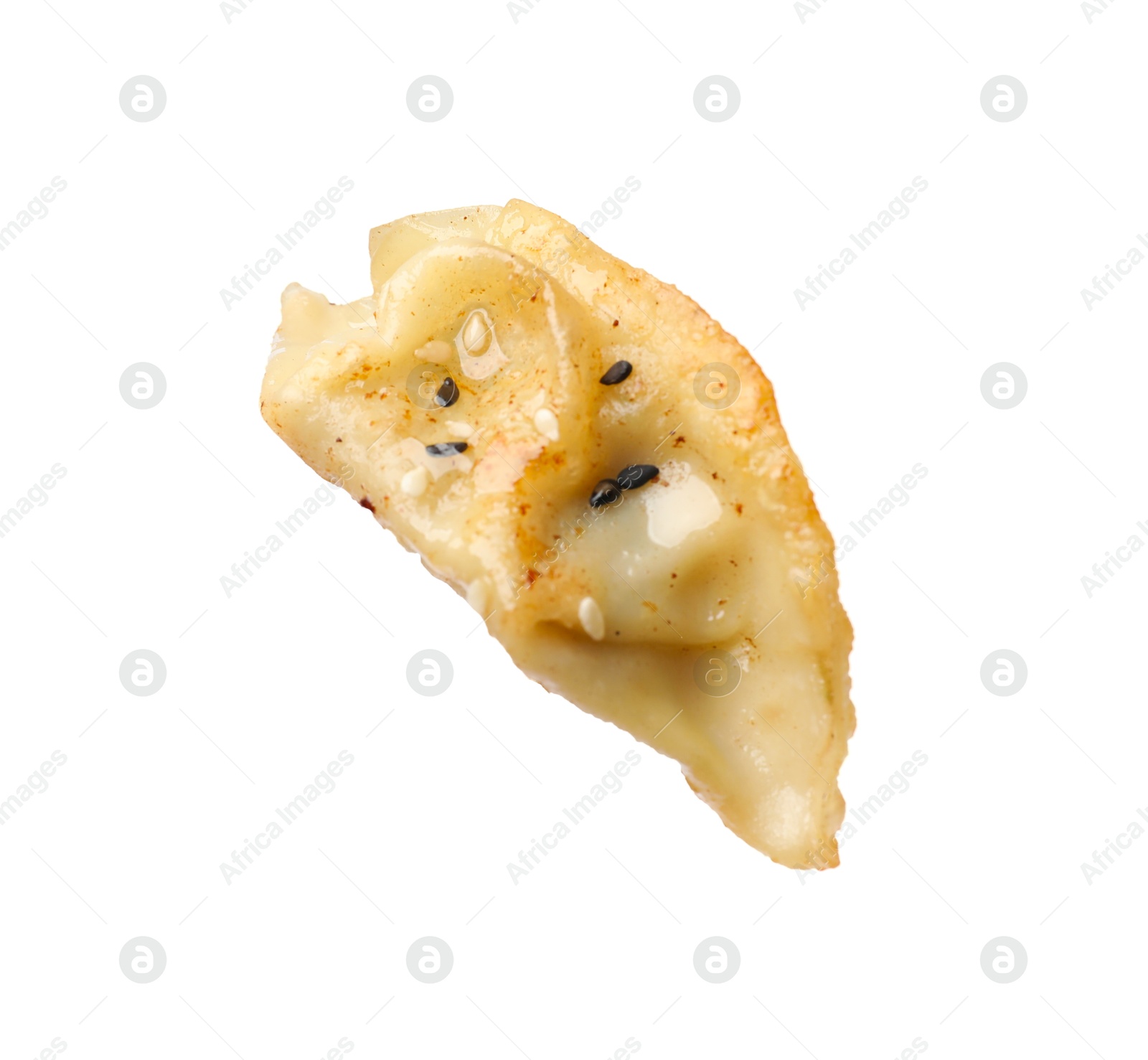 Photo of One fried gyoza dumpling isolated on white