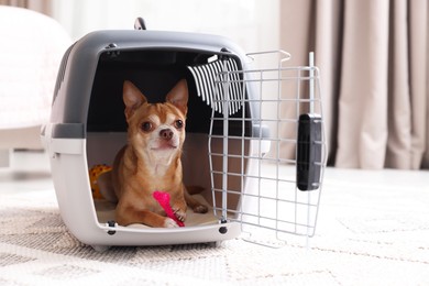 Photo of Adorable dog in pet carrier on floor indoors