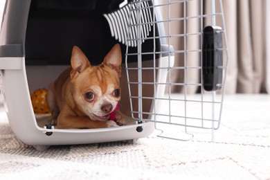 Photo of Adorable dog in pet carrier on floor indoors