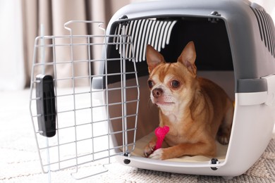 Photo of Adorable dog in pet carrier on floor indoors