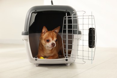 Photo of Adorable dog in pet carrier on floor indoors