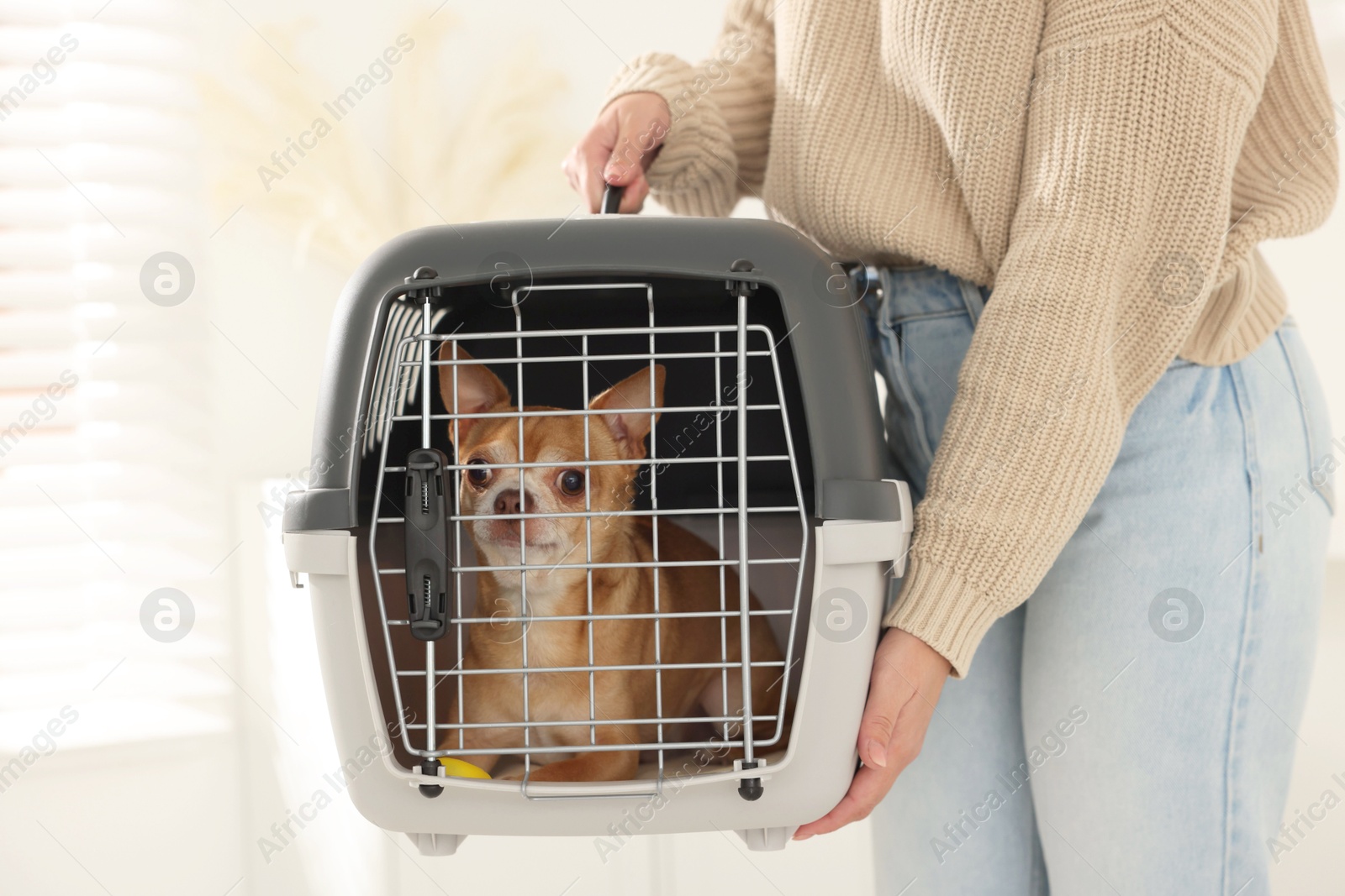 Woman with dog in pet carrier indoors, closeup Photo of Woman with dog in pet carrier indoors, closeup