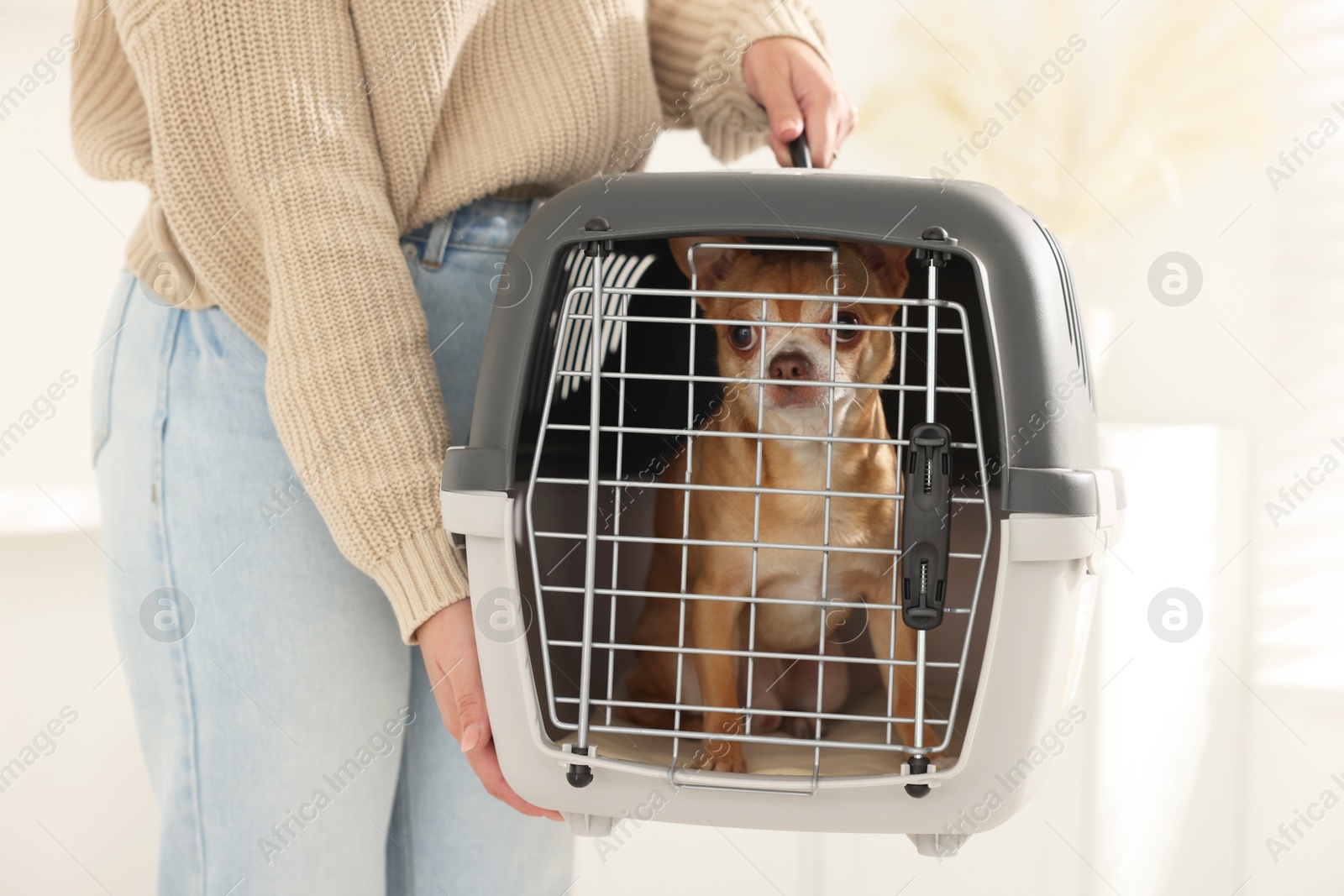 Photo of Woman with dog in pet carrier indoors, closeup