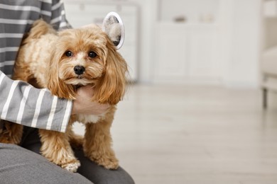 Photo of Woman brushing dog's hair indoors, closeup with space for text. Pet grooming