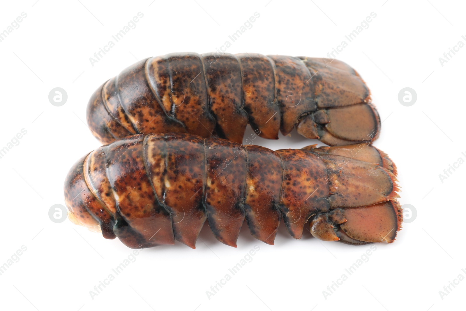 Photo of Two raw lobster tails isolated on white