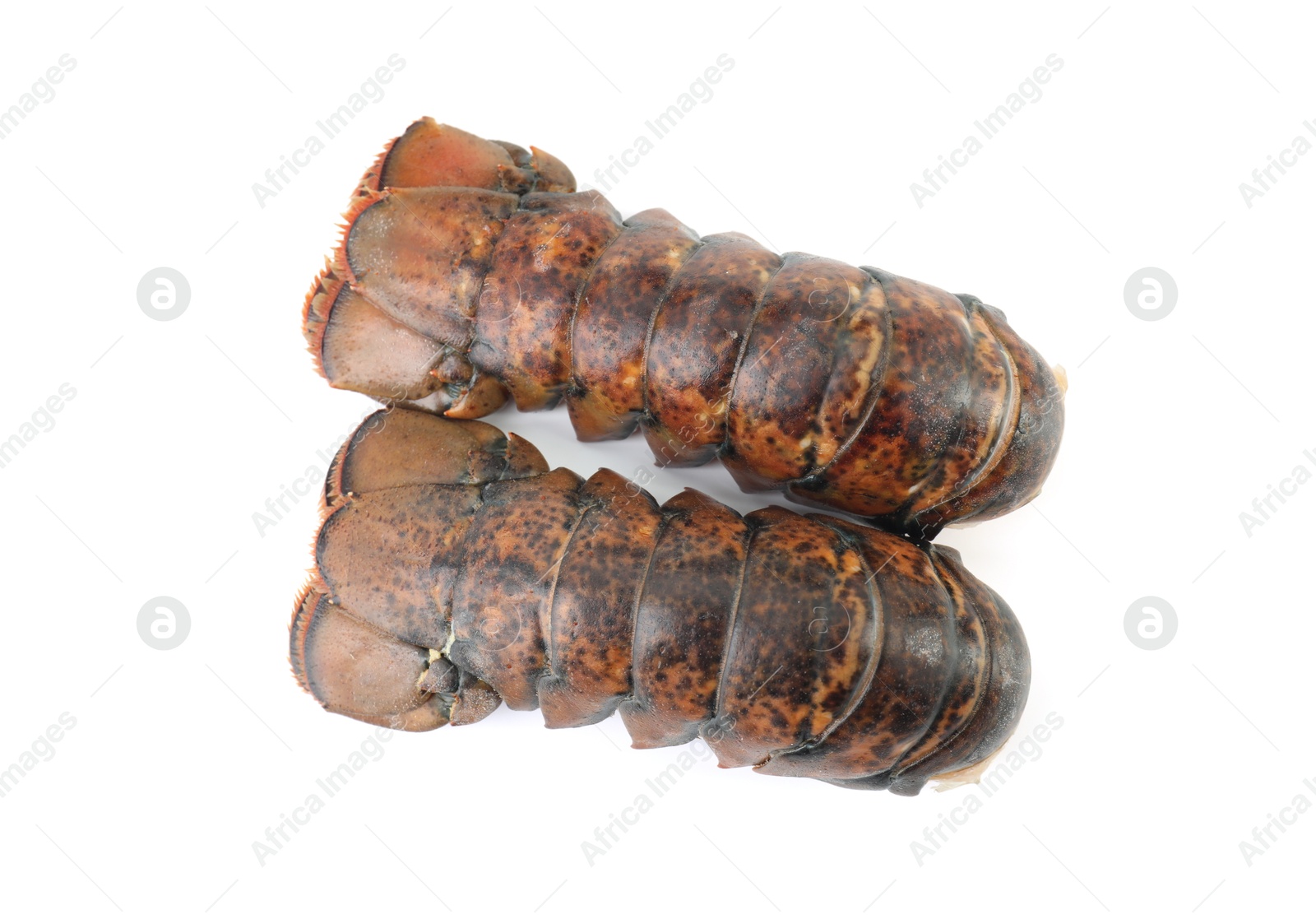 Photo of Two raw lobster tails isolated on white, top view