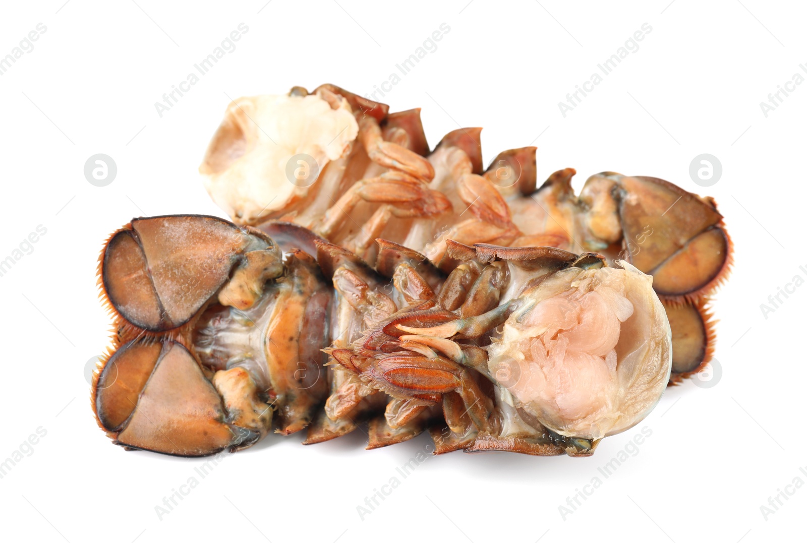 Photo of Two raw lobster tails isolated on white