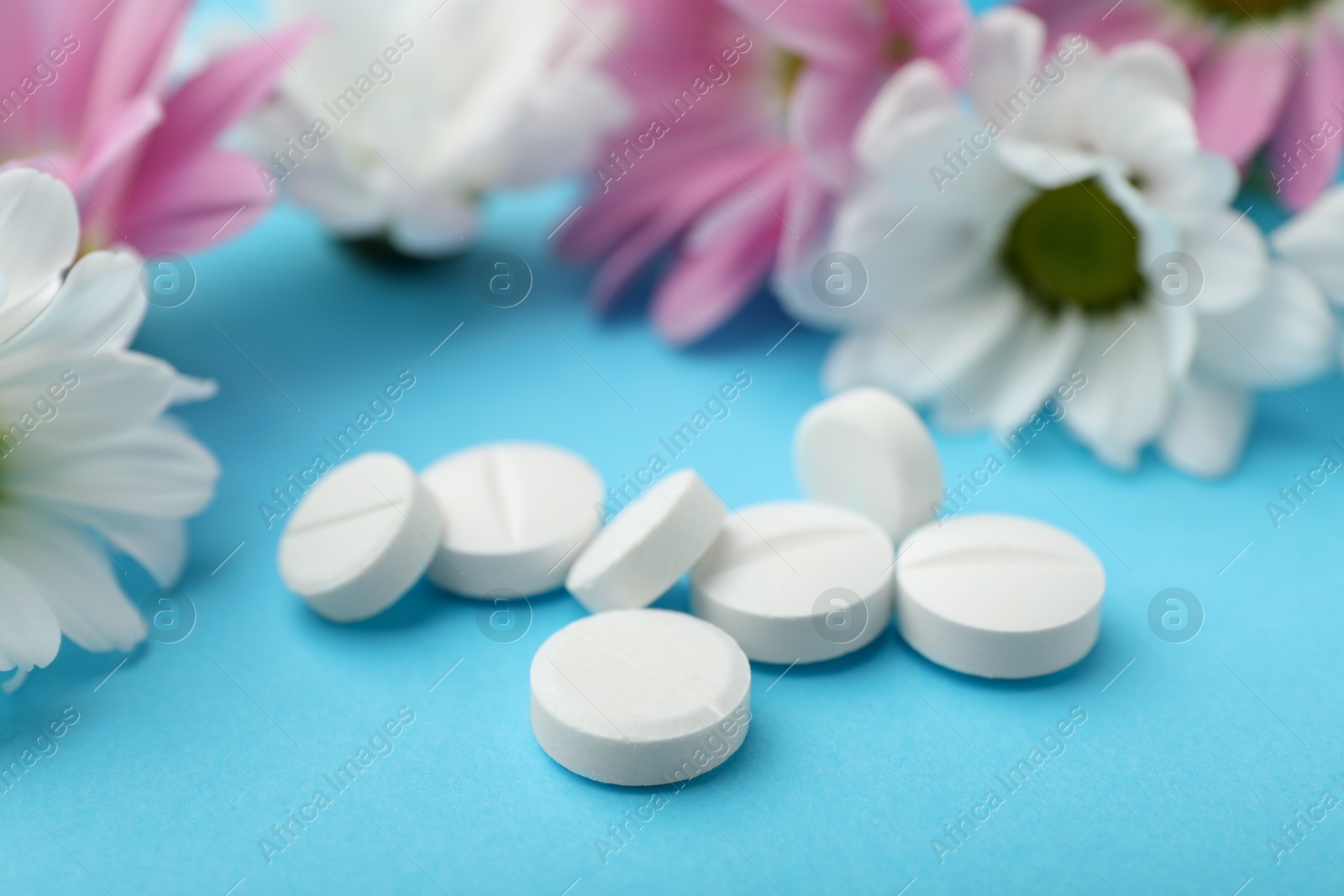 Photo of Allergy treatment. Pills and flowers on light blue background, closeup