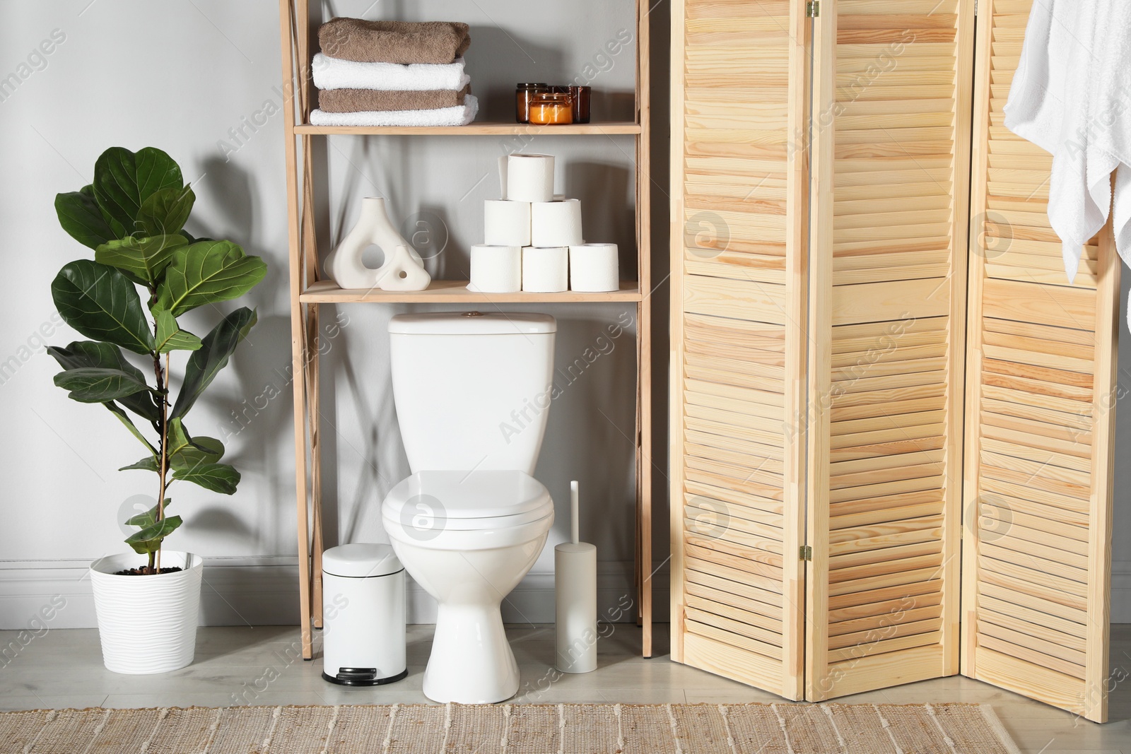 Photo of Folding screen, toilet bowl and houseplant in restroom