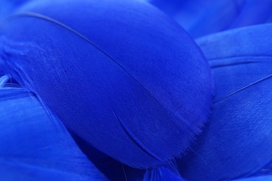 Photo of Beautiful blue feathers as background, closeup view