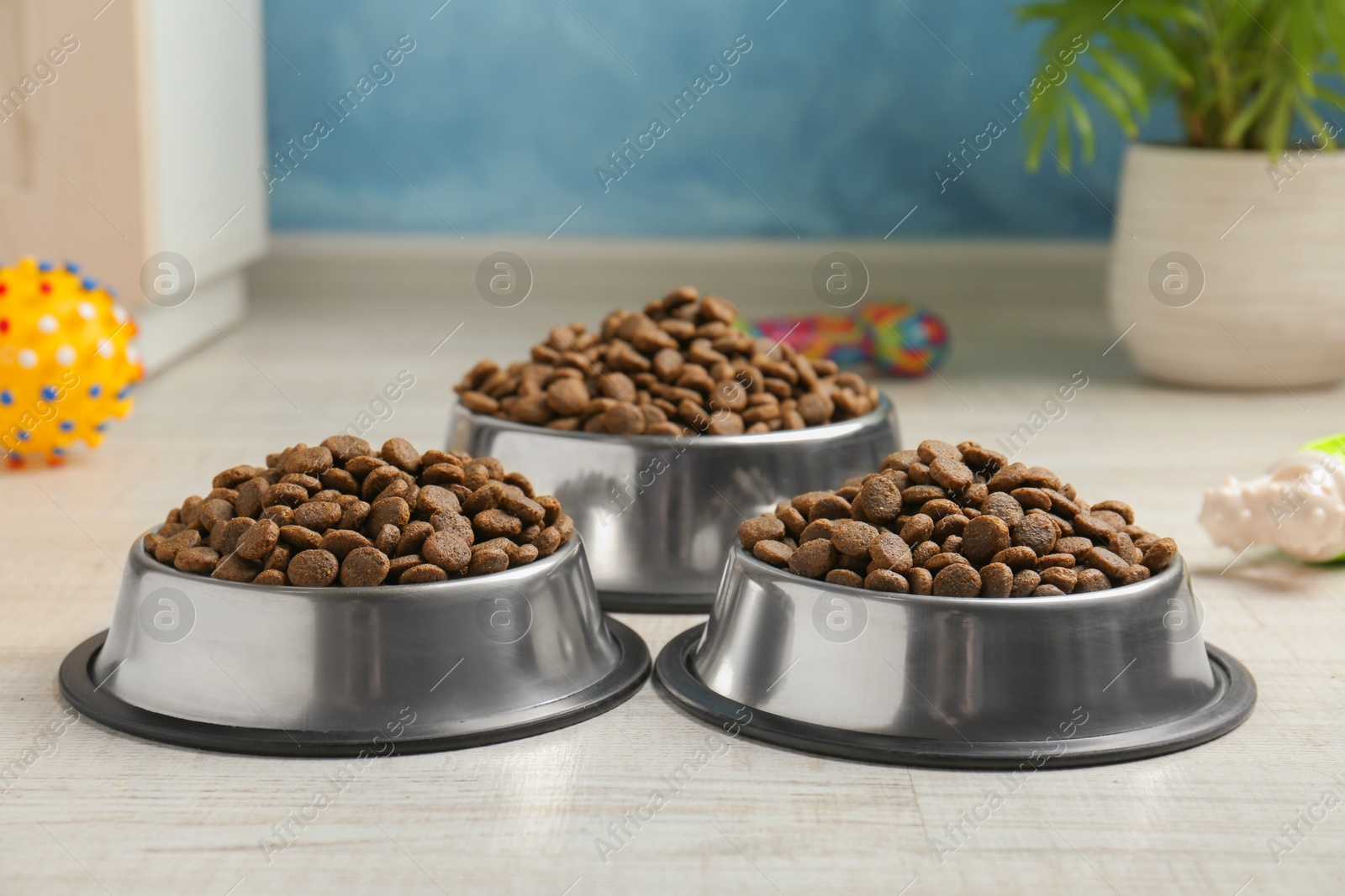 Photo of Dry pet food in feeding bowls and toys on floor indoors