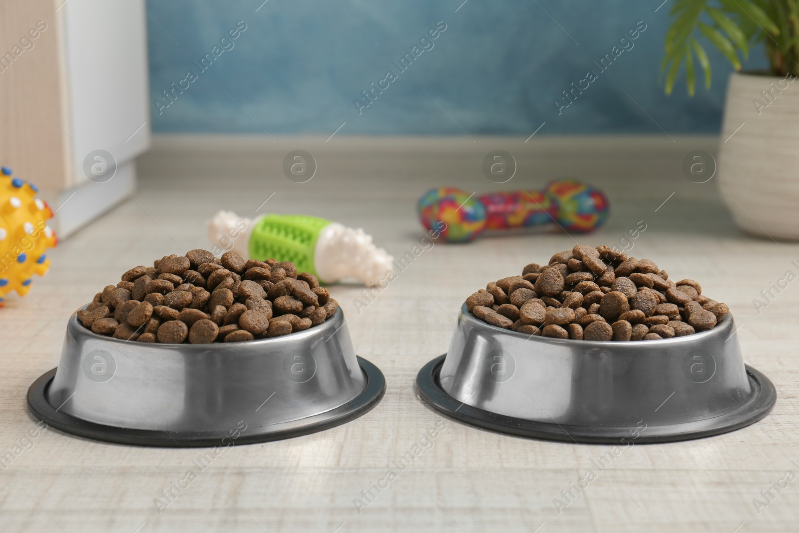 Photo of Dry pet food in feeding bowls and toys on floor indoors