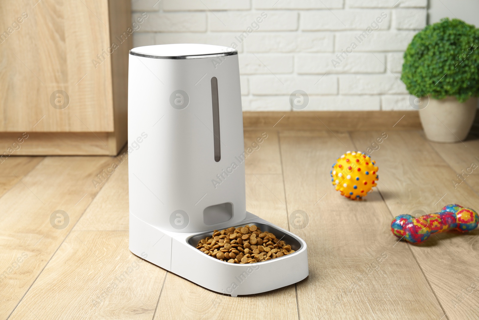 Dry pet food in automatic feeder and toys on floor indoors Photo of Dry pet food in automatic feeder and toys on floor indoors