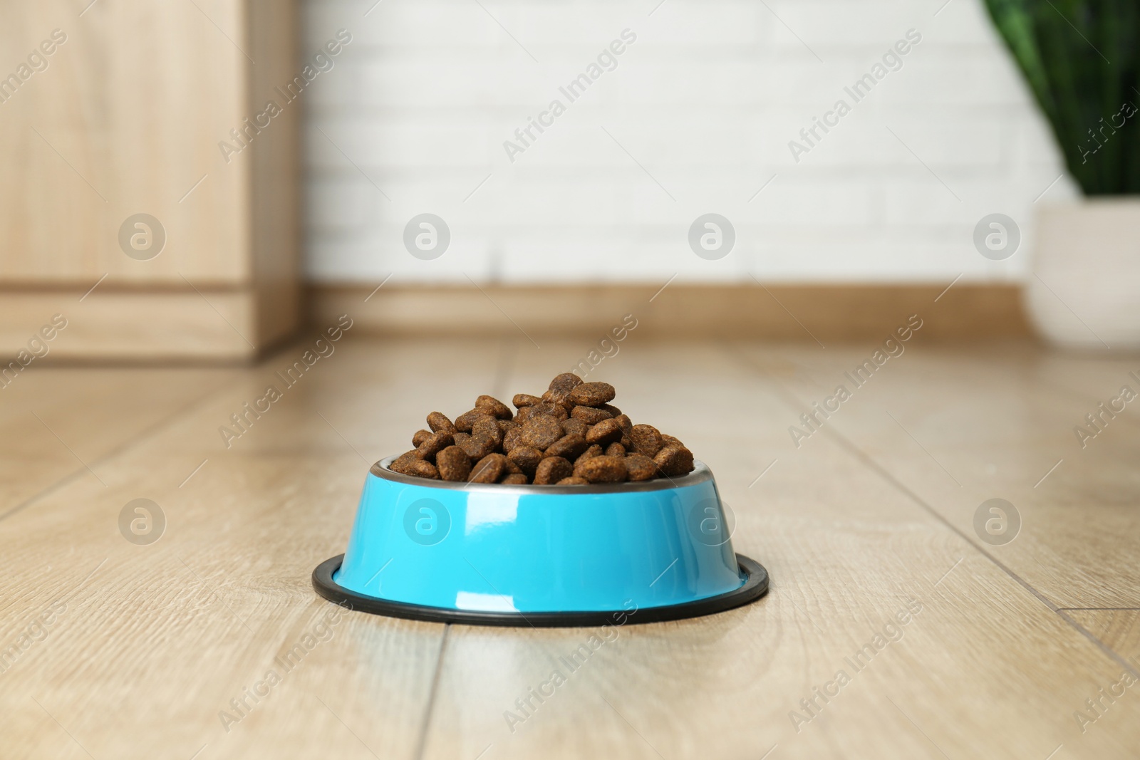 Photo of Dry pet food in feeding bowl on floor indoors