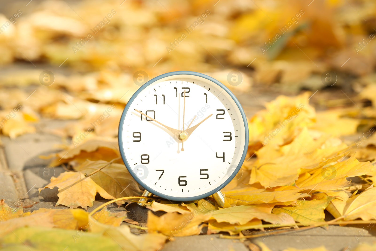 Photo of Autumn time. Alarm clock and fallen leaves on pathway outdoors, closeup