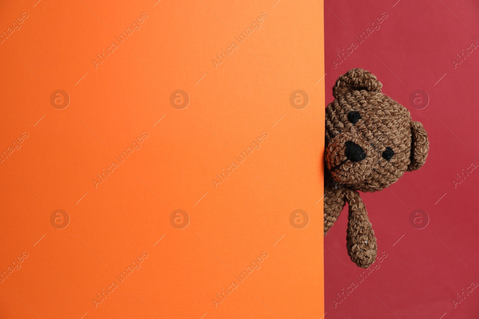 Photo of Cute toy bear peeking out of blank card on red background. Space for text