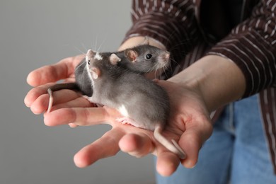 Woman with adorable little rats on grey background, closeup