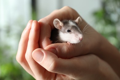 Photo of Woman with adorable little rat indoors, closeup