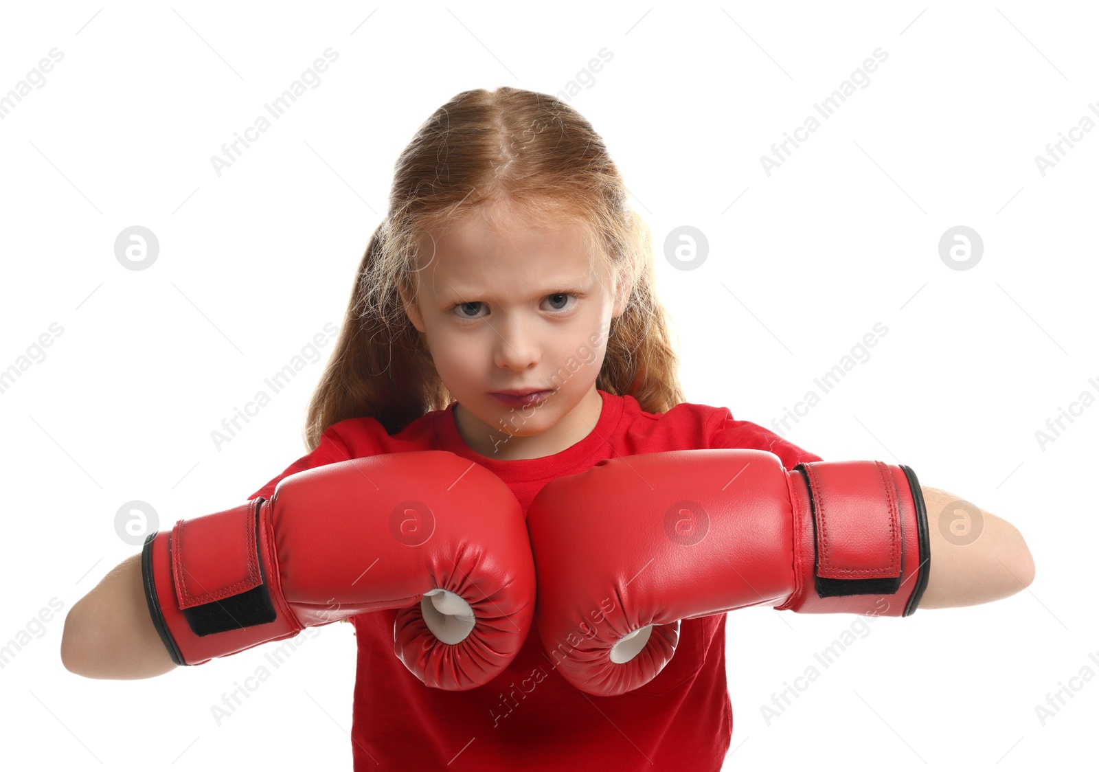 Photo of Cute little girl with boxing gloves on white background