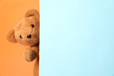 Photo of Cute teddy bear peeking out of blank card on orange background. Space for text