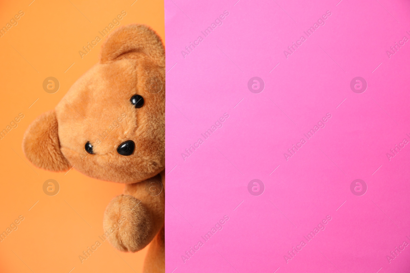 Photo of Cute teddy bear peeking out of blank card on orange background. Space for text